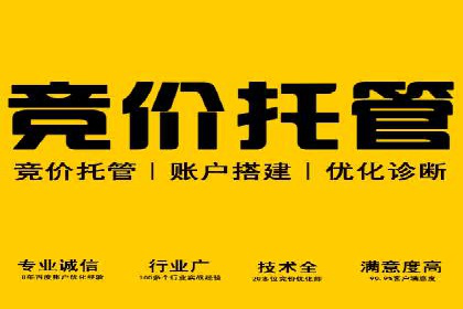 百度SEO推广公司成功案例：助力企业实现流量暴增